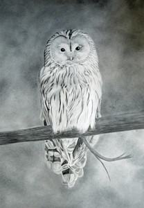LMG Water Soluble Graphite 1.20.jpg